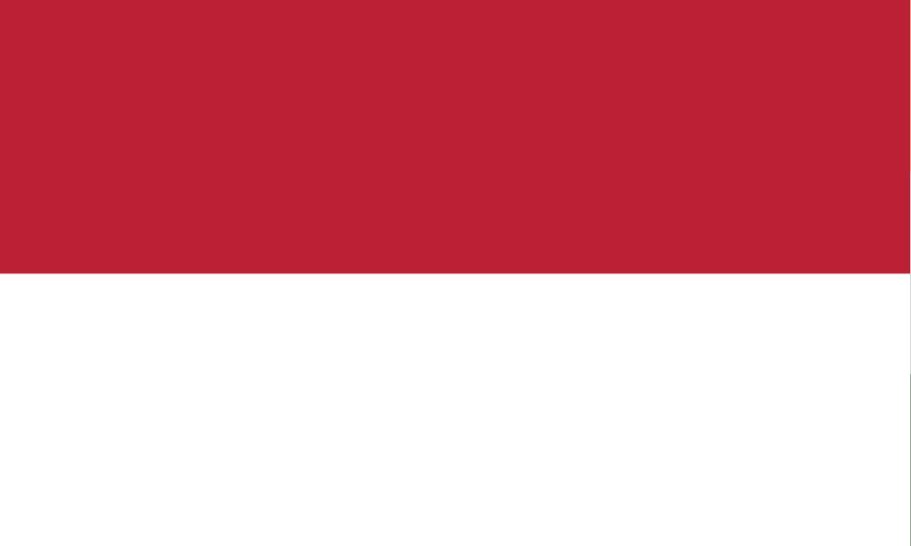 INDONESIA FLAG